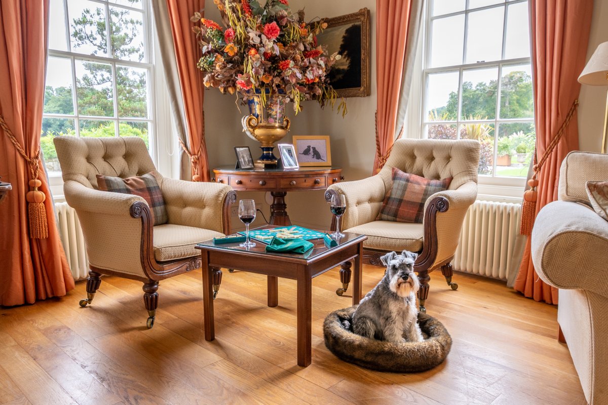 Dog Friendly Stays at Pentillie Castle by Grey Dog Images